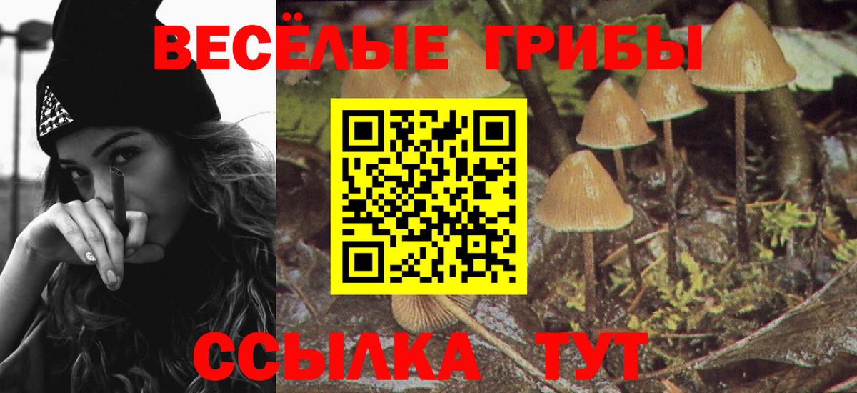 Галлюциногенные грибы Magic Shrooms Лангепас