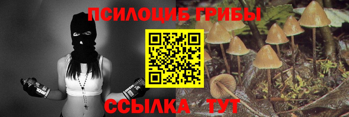 Псилоцибиновые грибы Psilocybe  Вход с VPN  Лангепас 